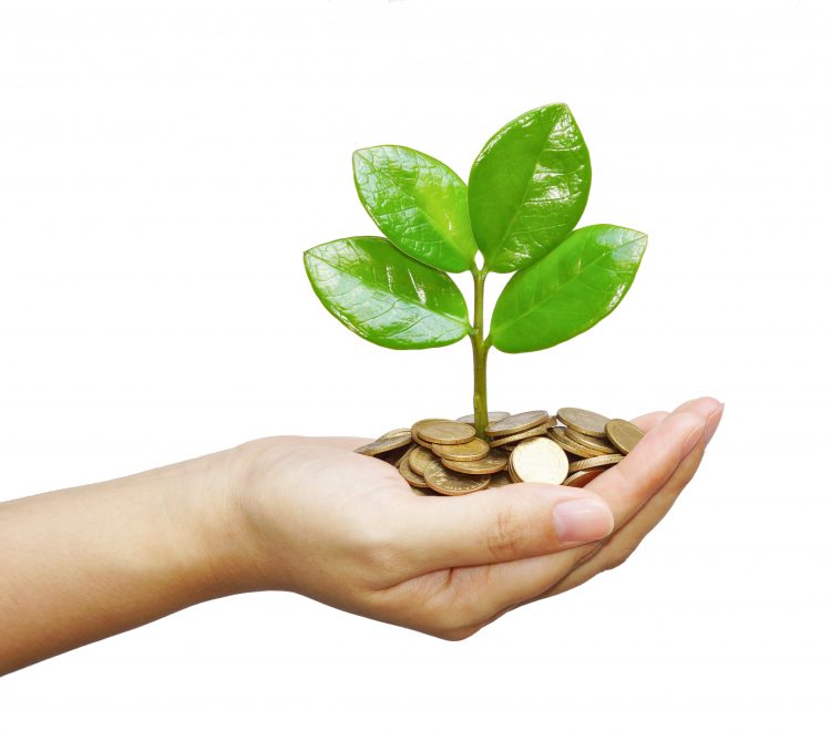 Hand growing money