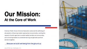 Screenshot of APHSA mission statement on website