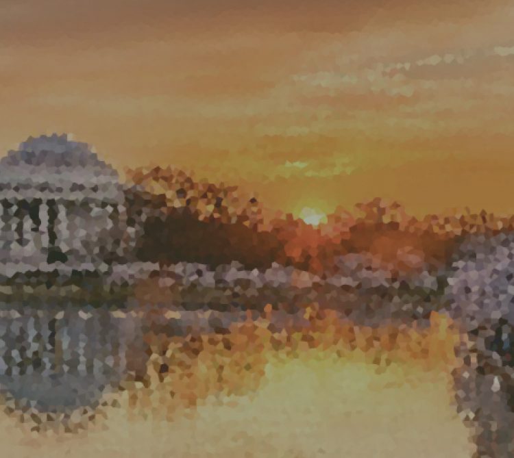 Tidal Basin Washington DC stylized